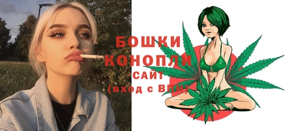 Альфа ПВП Майский