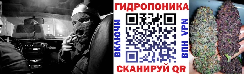 Шишки марихуана гибрид  Цивильск 